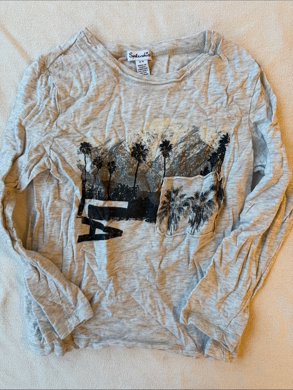 Splendid Gray Long Sleeve Tee with Black Palm Tree Graphic